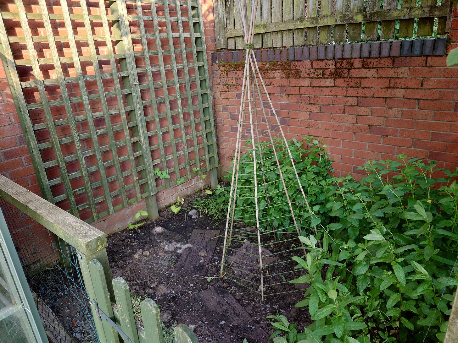 Photo of the veggie patch in a corner of the retaining walls with fencing to keep the dogs out