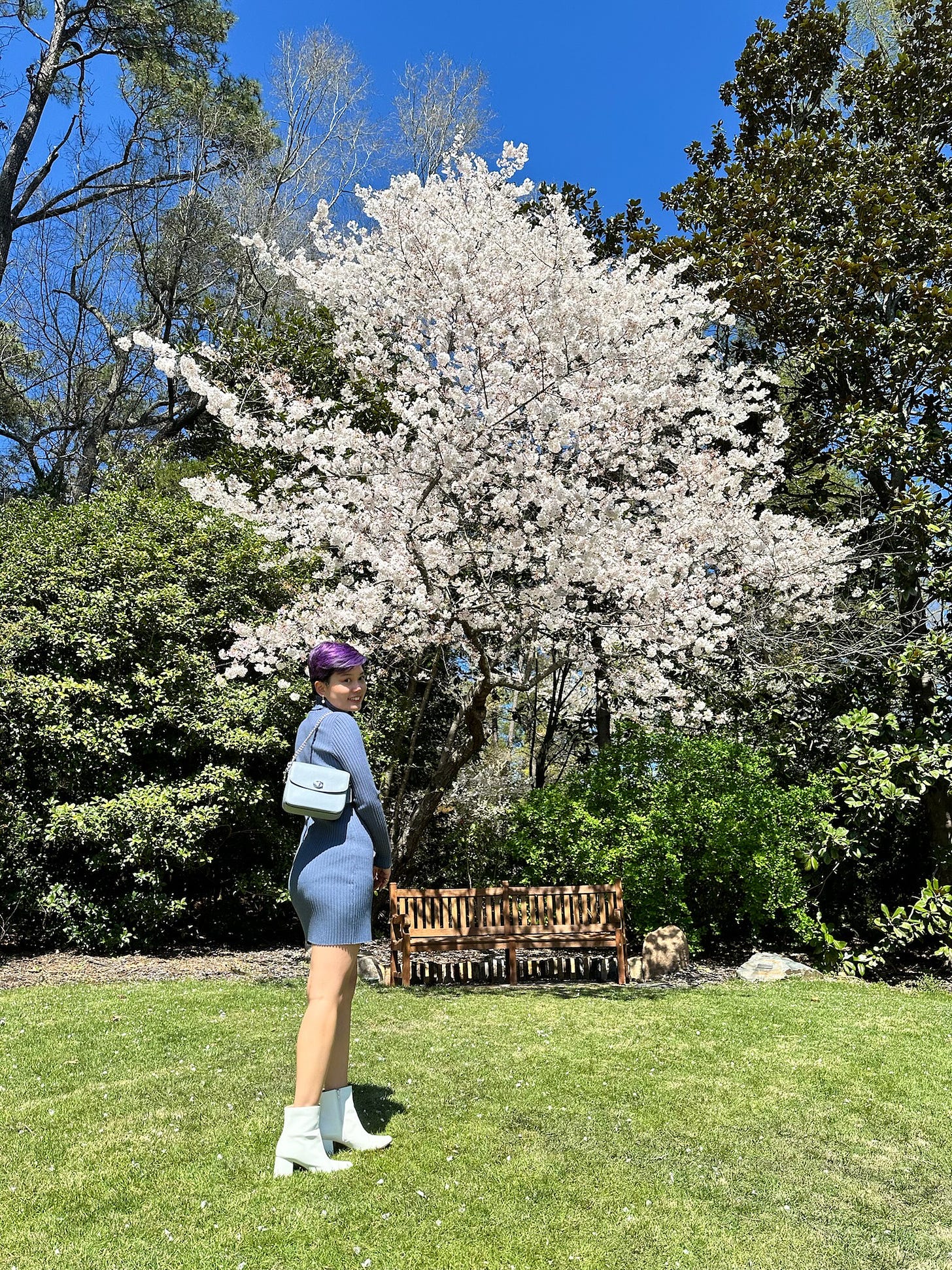 Xin Yi with purple hair, blue dress, white boots, slinging a blue handbag over her shoulder. She is standing in front of a cherry blossom tree in bloom, surrounded by greenery. She is posed facing the tree, turning her head around to face the camera, smiling.