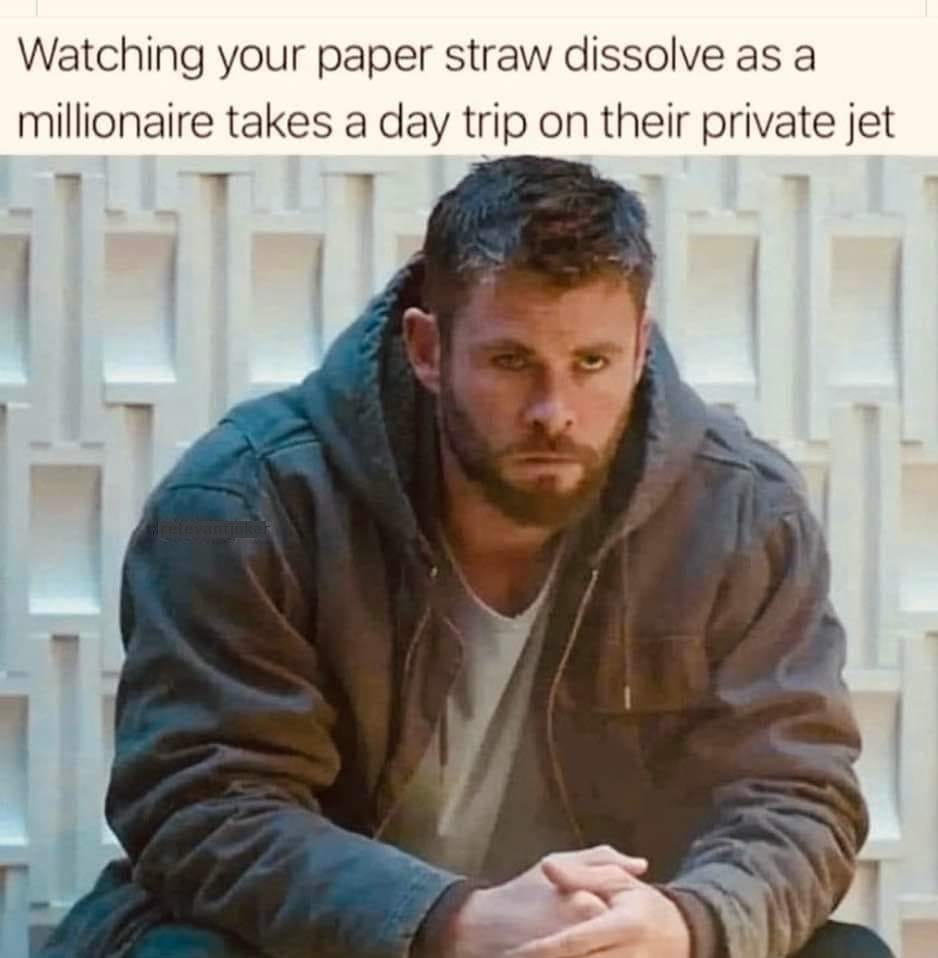 May be an image of 1 person, beard and text that says 'Watching your paper straw dissolve as a millionaire takes a day trip on their private jet'