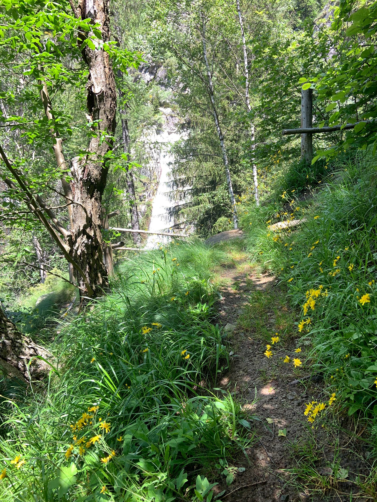 In a world that often emphasizes the importance of social connections and bustling social scenes, these lone hikers stand as a reminder that sometimes, the greatest companionship can be found in the quiet moments of self-reflection and communion with nature. 