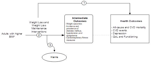 Graph - US Preventative Services Task Force Proposed Analytical FrameworkAdults with higher BMI with arrows to:   (1) Health Outcomes: All-cause and CVD mortality, CVD events, Depression, QoL and Functioning  (2) Intermediate Outcomes, Weight outcomes, Incidence and prevalence of diabetes mellitus, hypertension, dyslipidemia , Cardiorespiratory fitness measures  (3) Harms