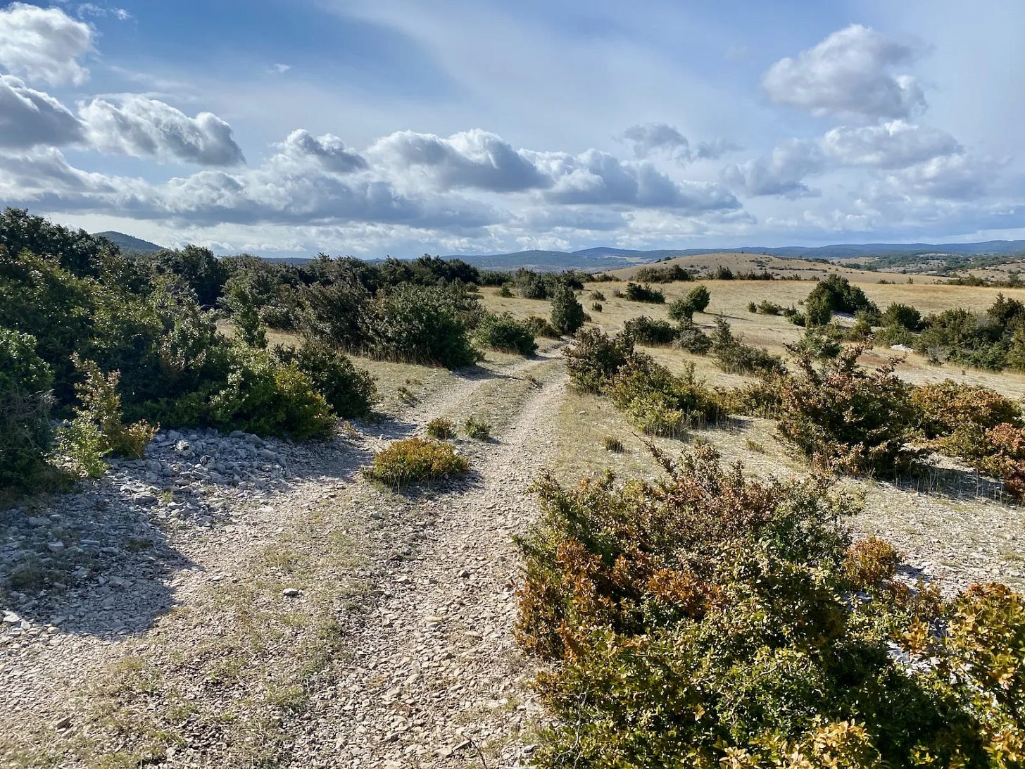 Bikepacking dans la tourmente Bikepacking dans la tourmente