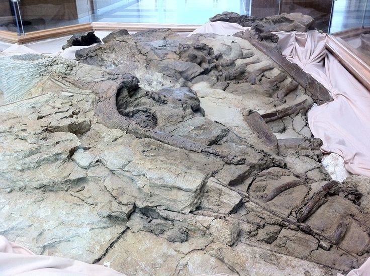 Dakota, the Dinosaur Mummy | Dinosaur, Natural landmarks, Landmarks