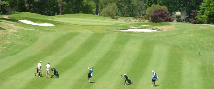 A group of people playing golf

Description automatically generated