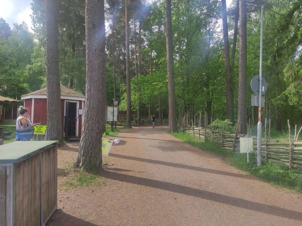 A runner comes in to the finish line, tall trees surround the path.