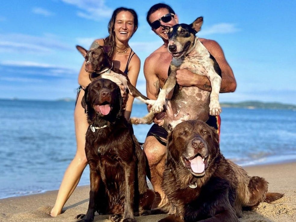 Na foto, o empresário Ivan Moreira, a publicitária Camila Tani e os cães dos quais são tutores: Bono, Cacau, Bali e Moqueca — Foto: ( Instagram/ @familiasurfdog/ Reprodução )
