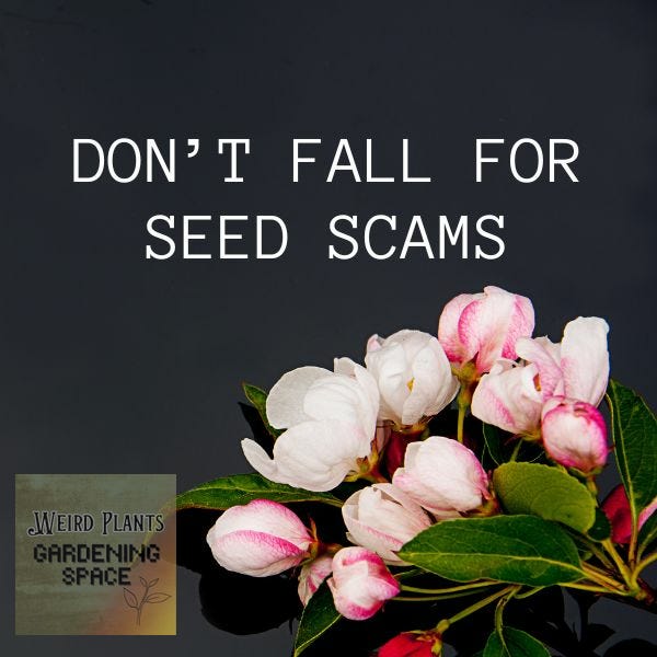 don't fall for seed scams