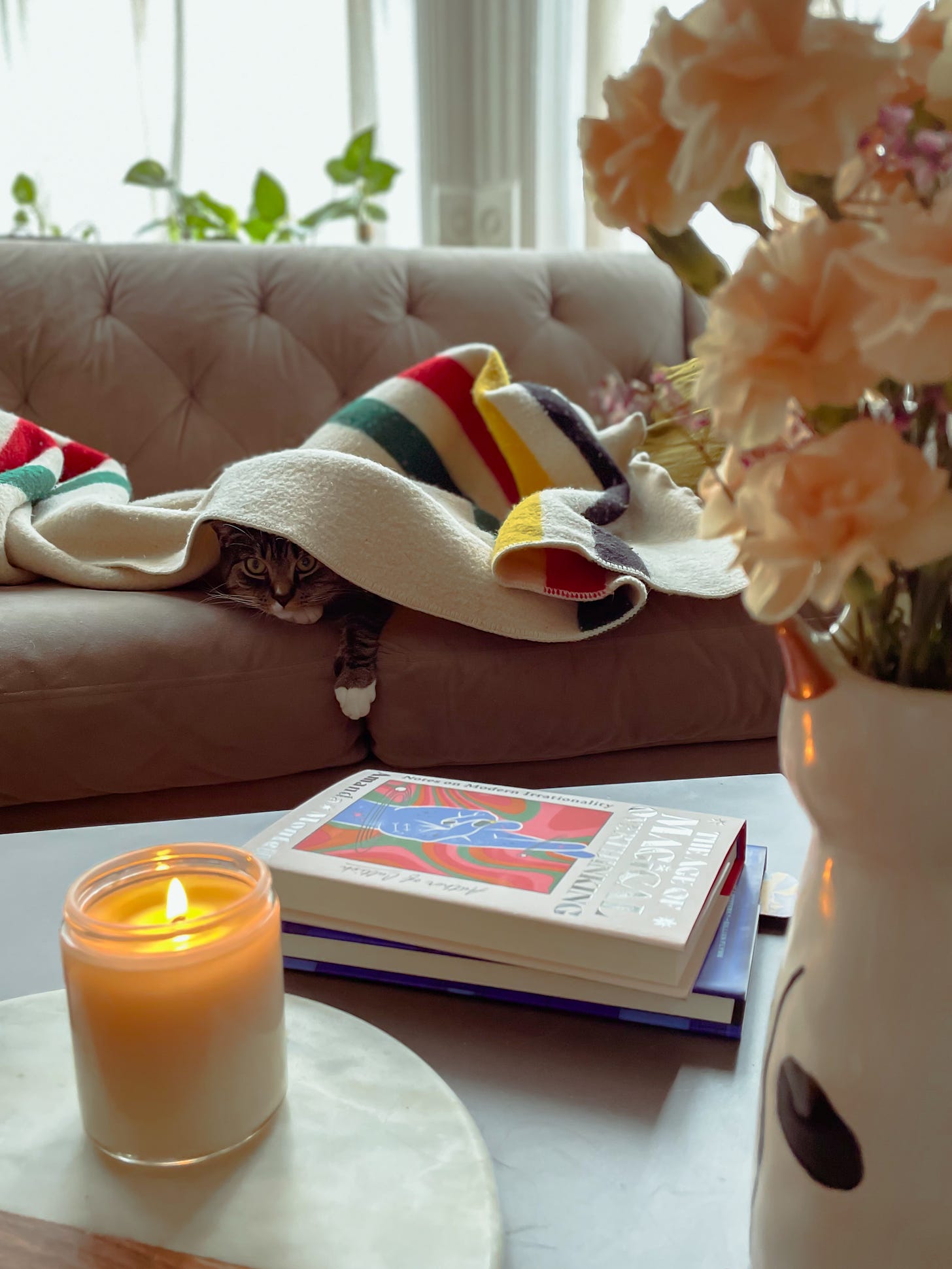 Harry, a grey and white cat, peeks out from under a white blanket on a grey couch. In the foreground is a coffee table topped with books, flowers and a lit candle.