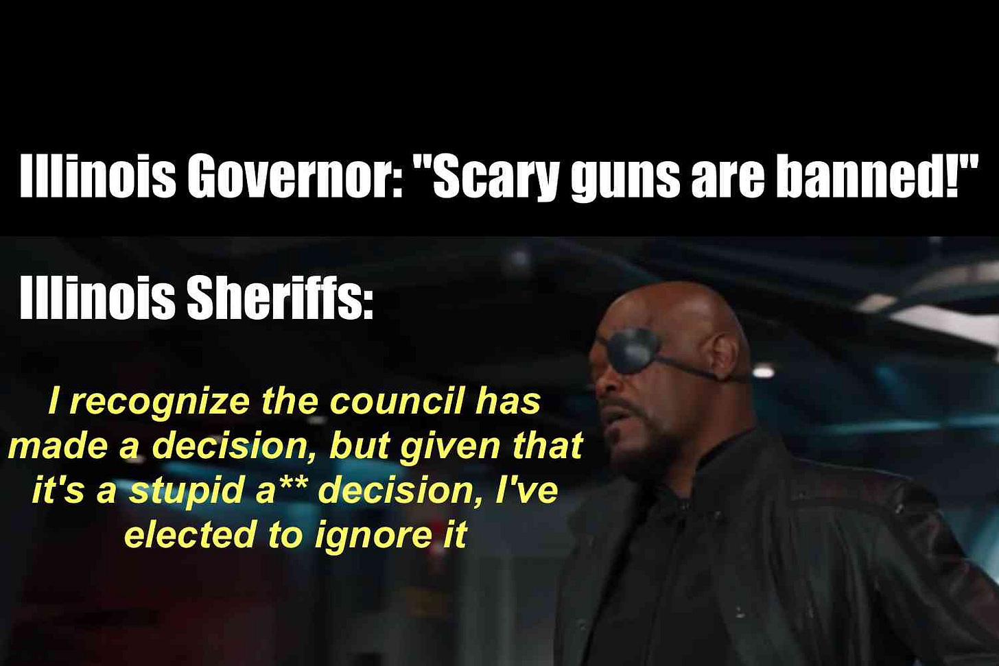 Sheriffs across Illinois announce they will not enforce the new aSsAuLt wEaPoNs ban ✊