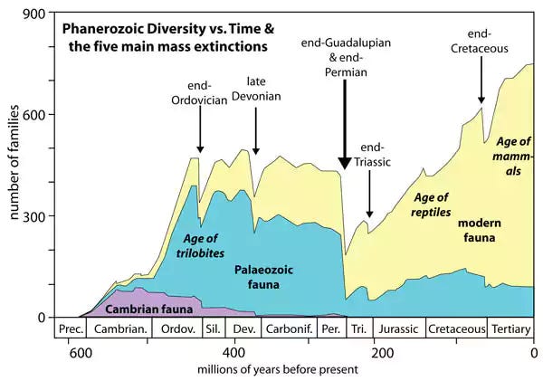 Lessons from the deep past | Research Communities by Springer Nature