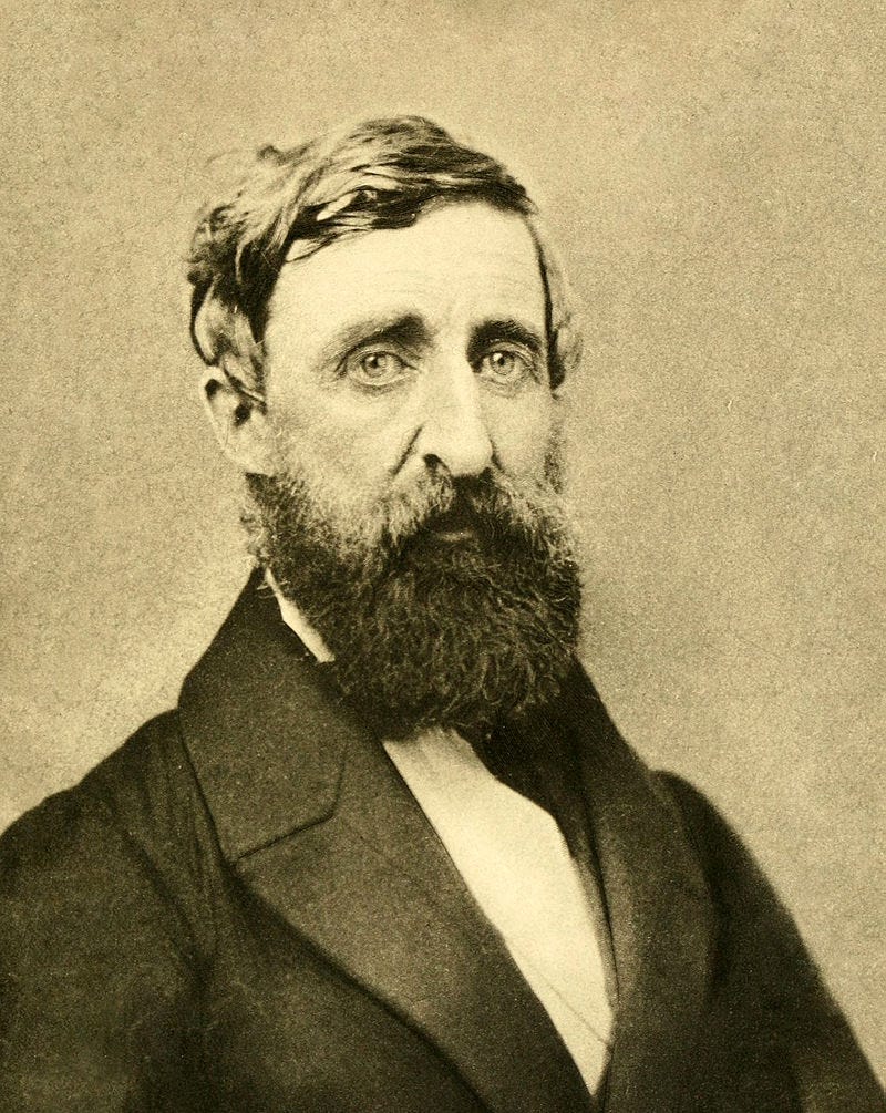 Thoreau in his second and final photographic sitting, August 1861.