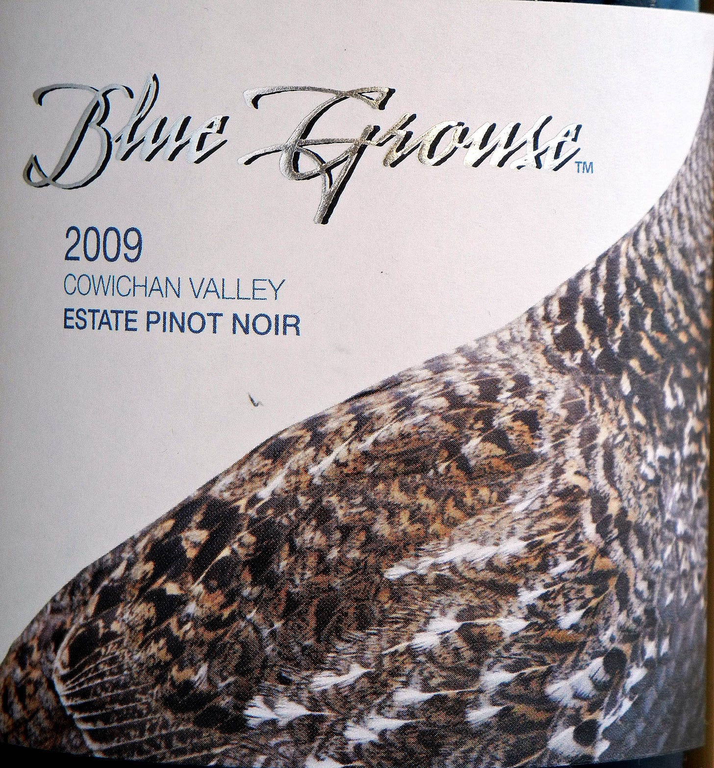 Blue Grouse Pinot Noir 2009 Label - BC Pinot Noir Tasting Review 26