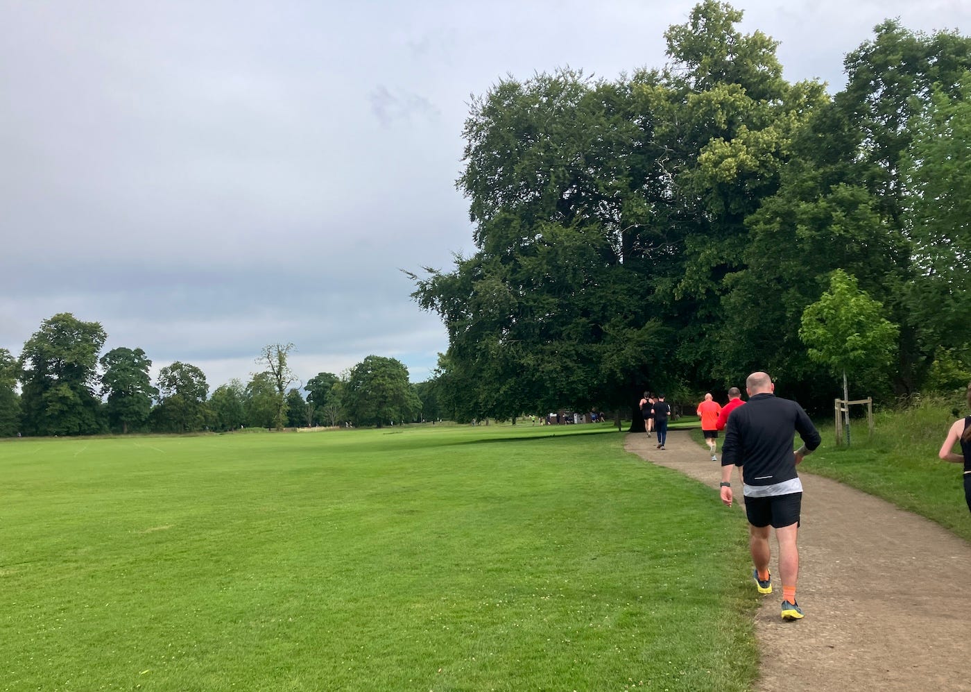 Walkers and runners on a path