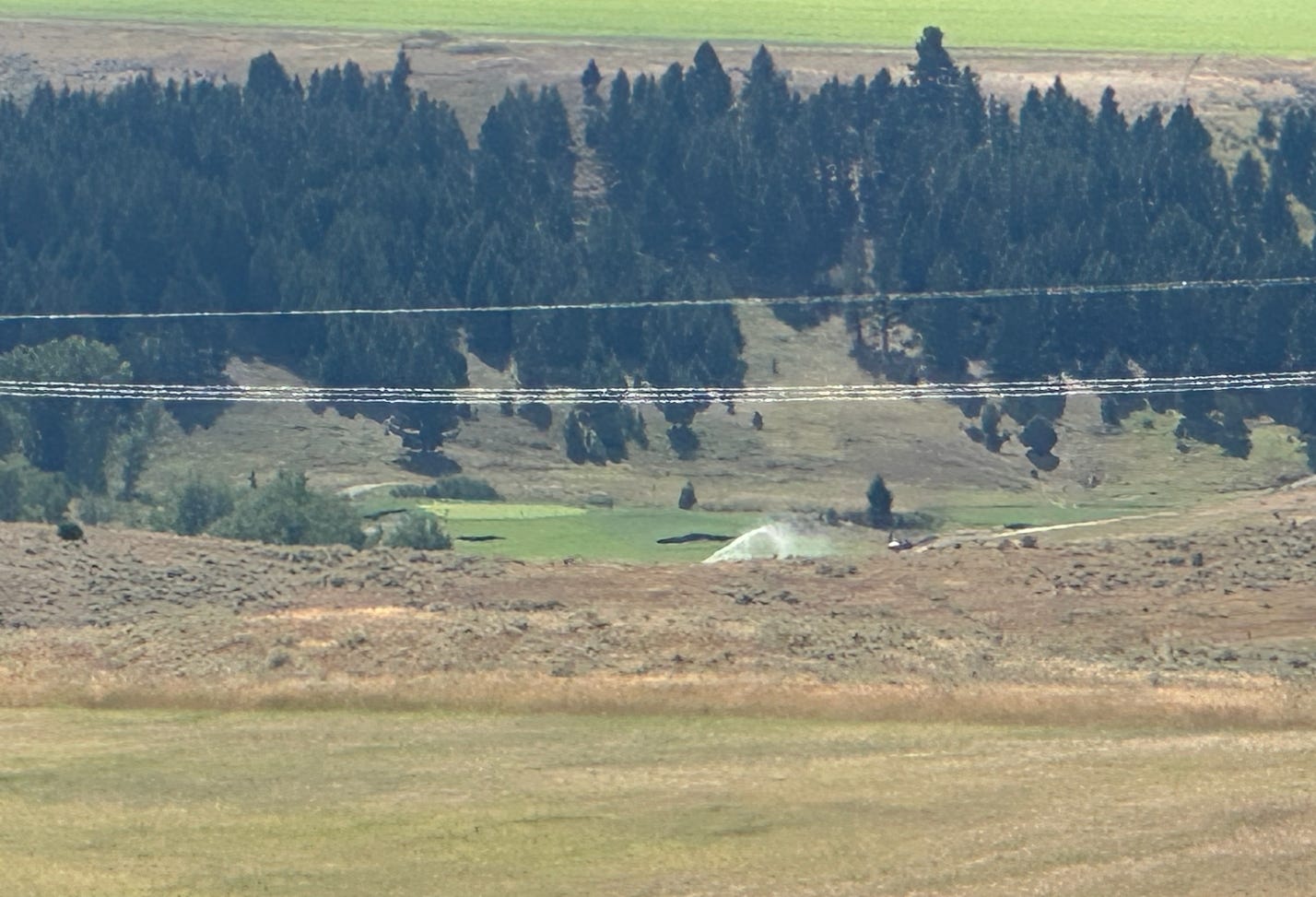 A field with trees and a field of grass

Description automatically generated