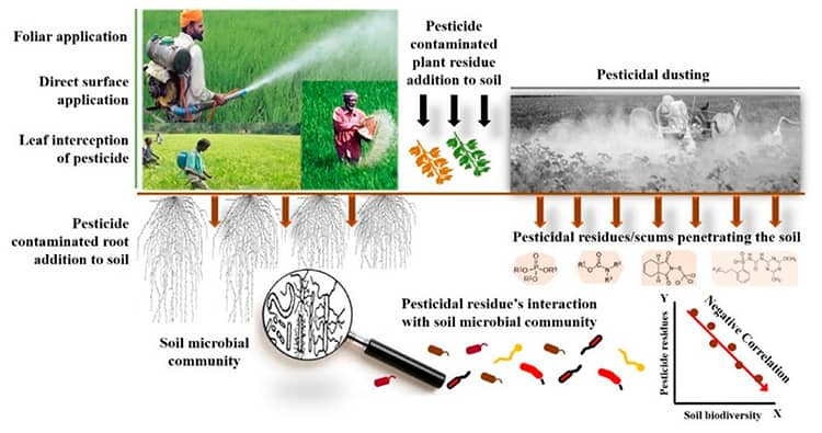 response and effects of pesticides on soil microbial communities and biodiversity