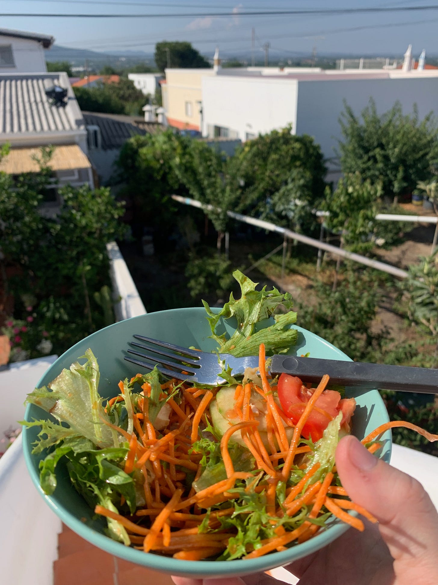 A hand holds a bowl of salad outdoors in front of a sun-baked southern Portugal landscape