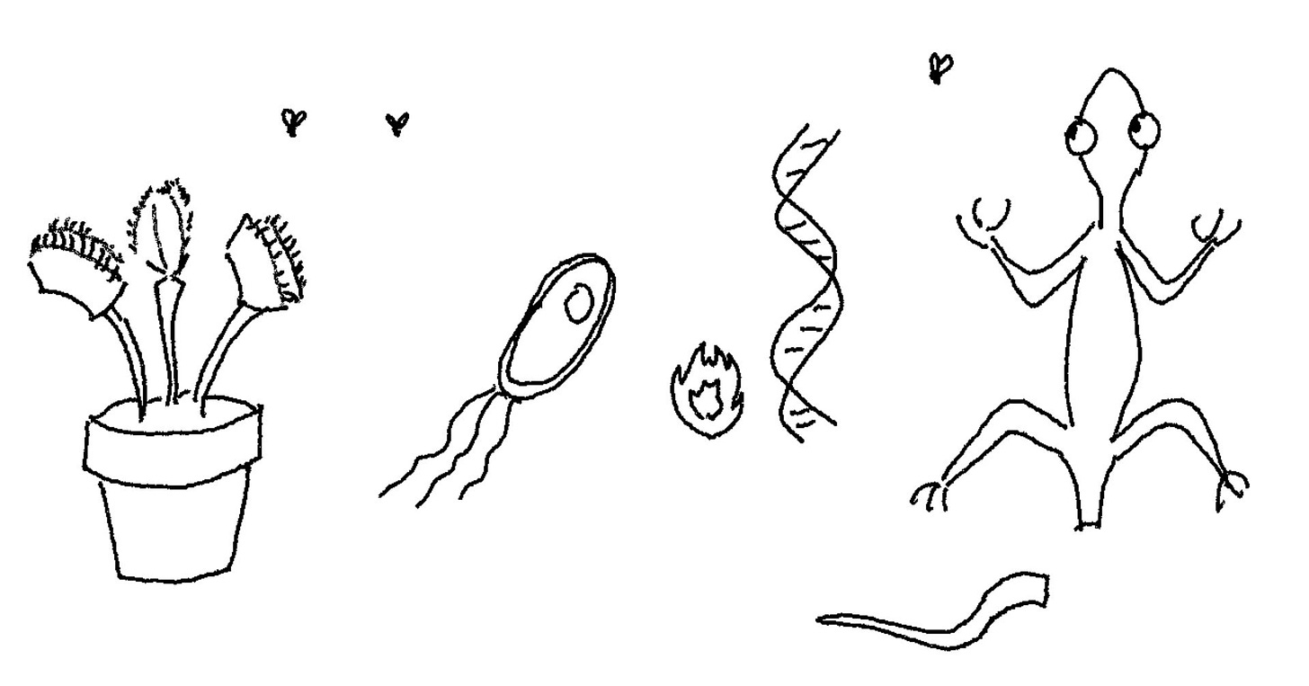 A Venus flytrap, flagellating bacterium, DNA subject to heat, and autotomous lizard, eyeing flies