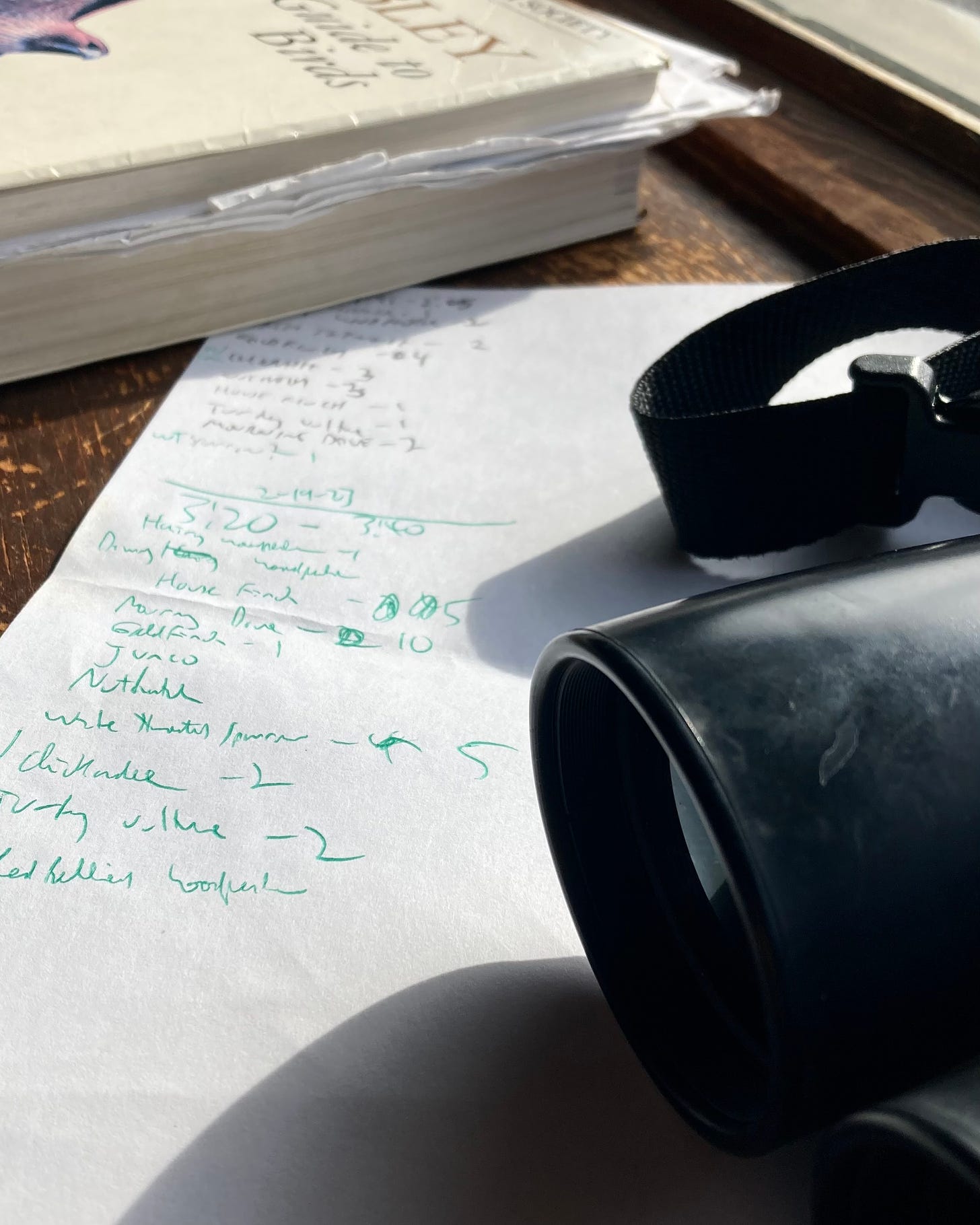 binoculars, bird list, Sibley guide to bird identification