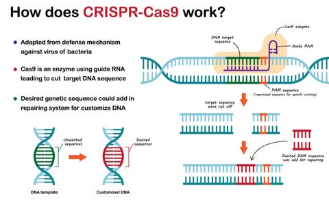 Introducing Synthetic Biology Horror in a New Light (Pt 1) Https%3A%2F%2Fsubstack-post-media.s3.amazonaws.com%2Fpublic%2Fimages%2Ff3807c5b-466d-4274-bc10-3550cb256082_480x309