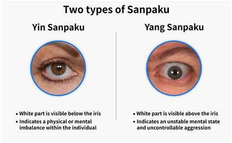 Sanpaku Eyes: a Guide to the Japanese Superstition | T Singapore Blog