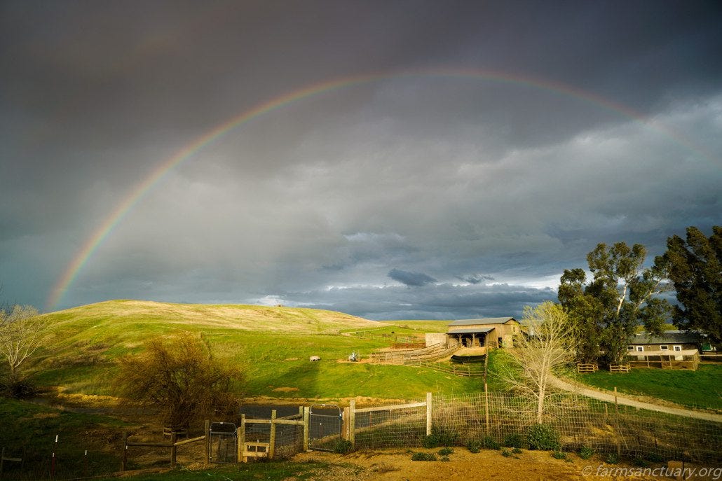 Calm after a storm on the sanctuary.