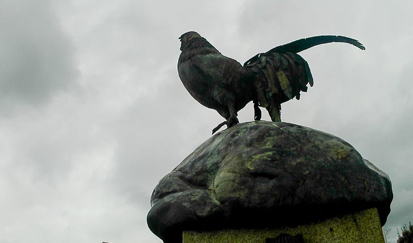 Escultura de un gallo en O Pedrouzo