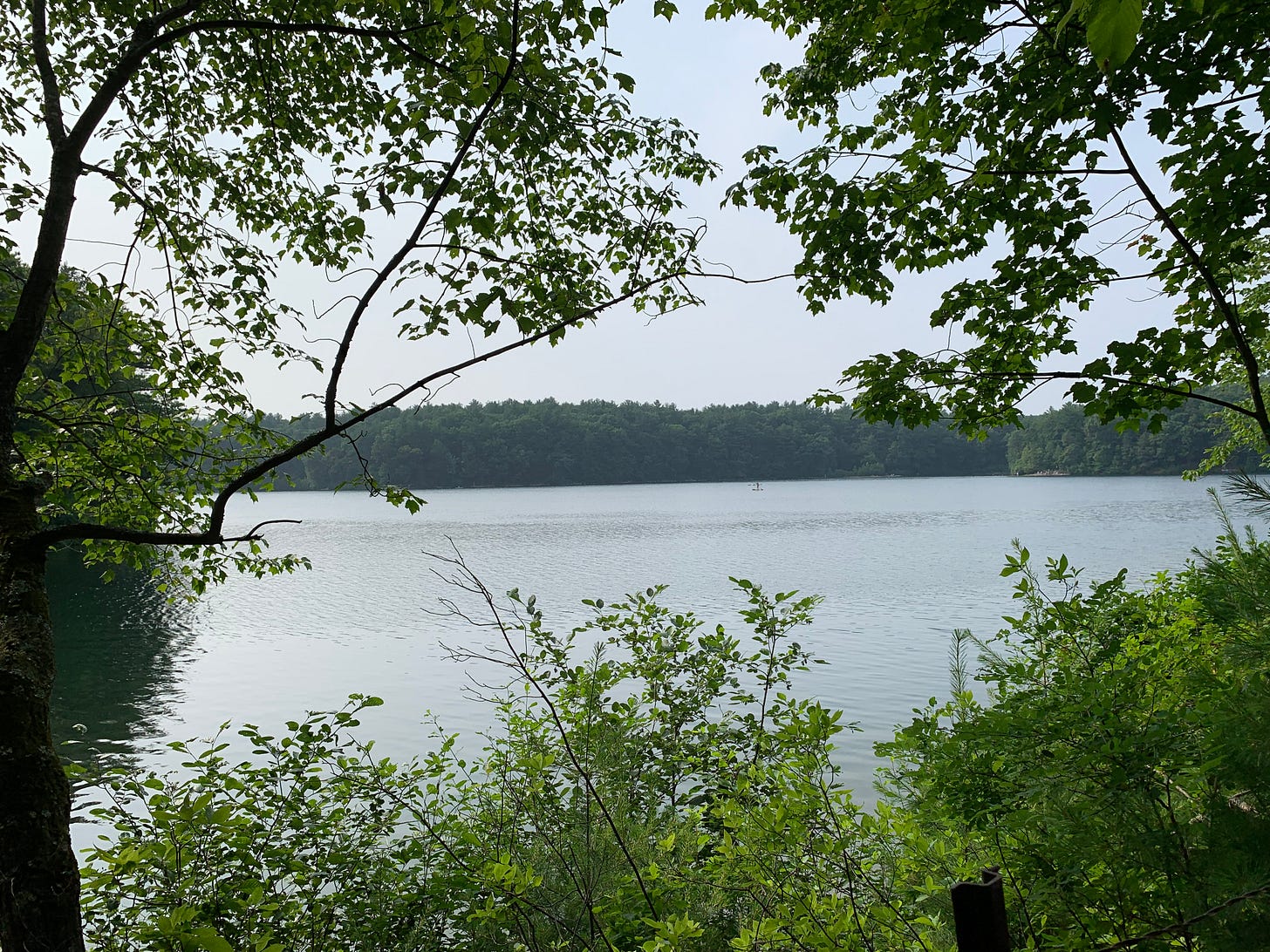 Walden Pond - Wikipedia