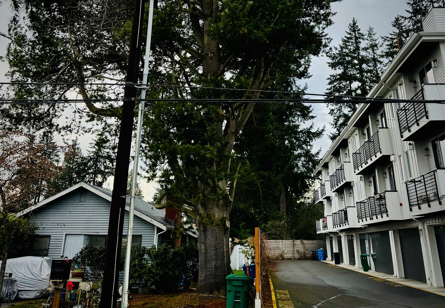 A single family home next to a fourplex near the Shoreline North Link Light Rail Station - photo by Oliver Moffat