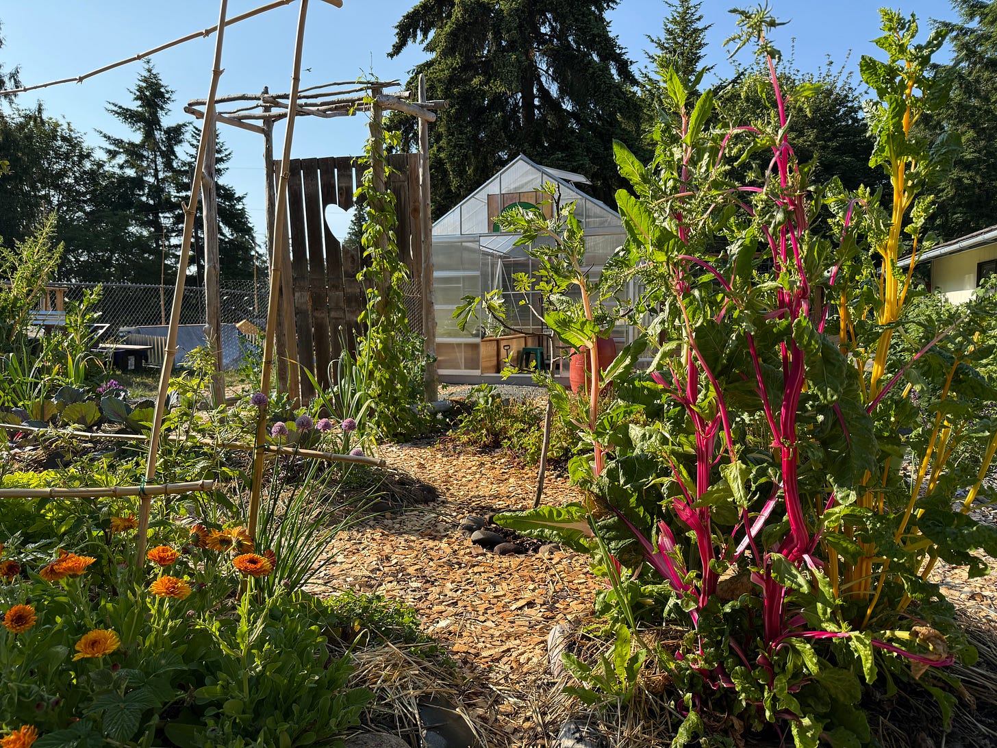 Colorful garden beds with gate and greenhouse in background.