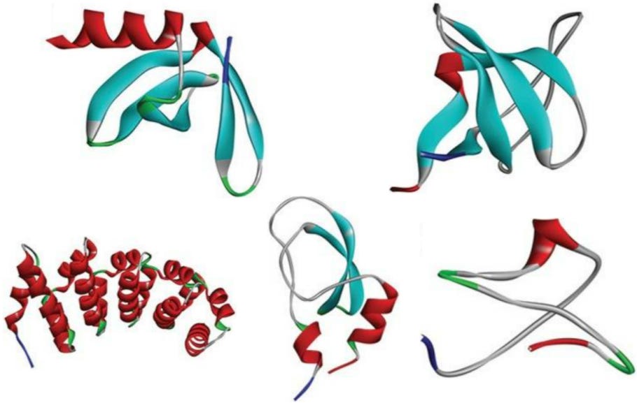 Bispecific Antibody Mimetics Development - Creative Biolabs