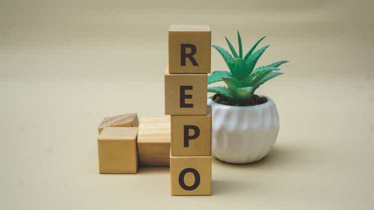 REPO word. Copy space. Text template. Concept word REPO on wooden block with succulent plant in the background. Business and financial concept.