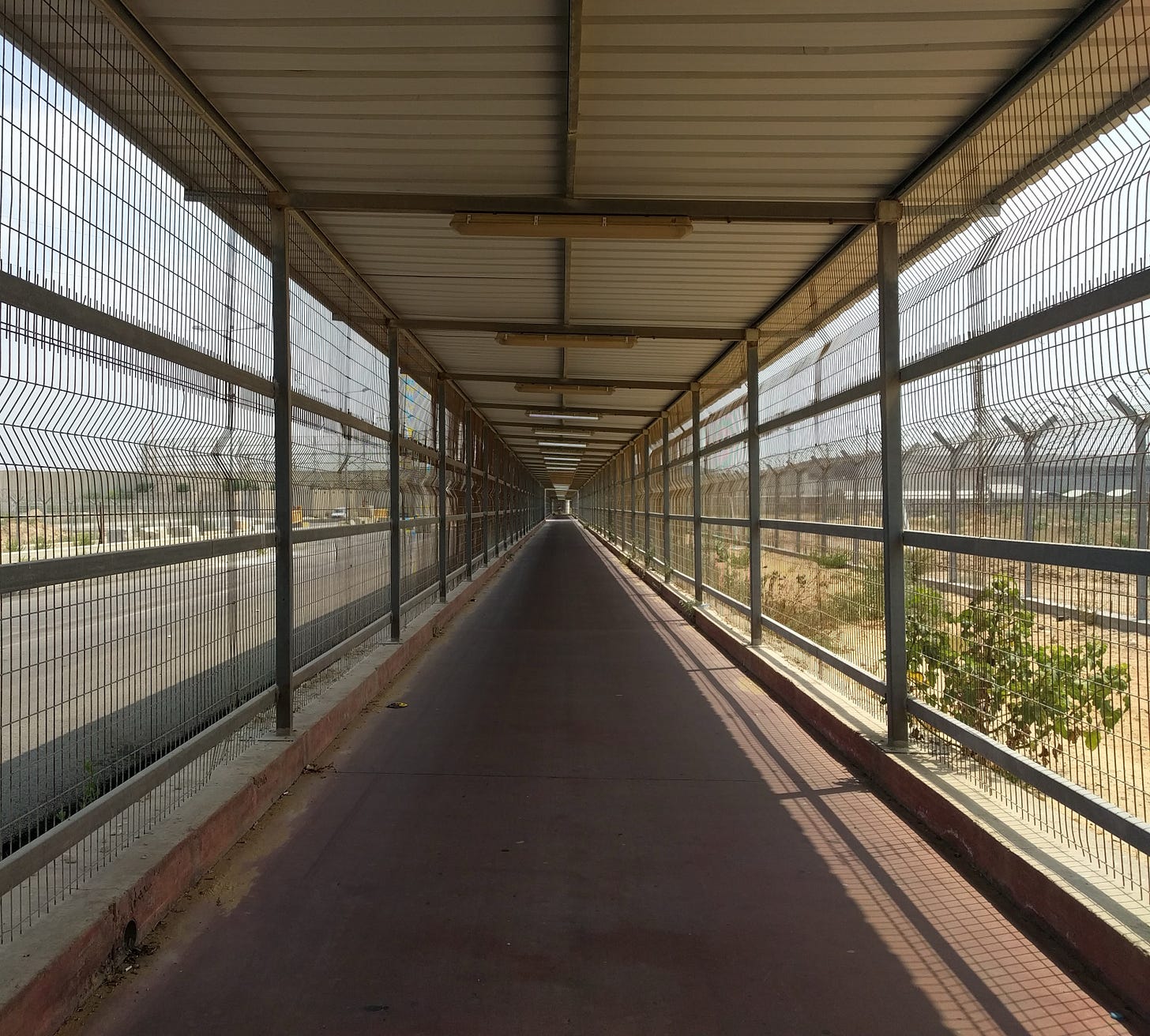 Looking down a long, straight path entirely enclosed by metal fencing on each side and a metal corrugated roof above