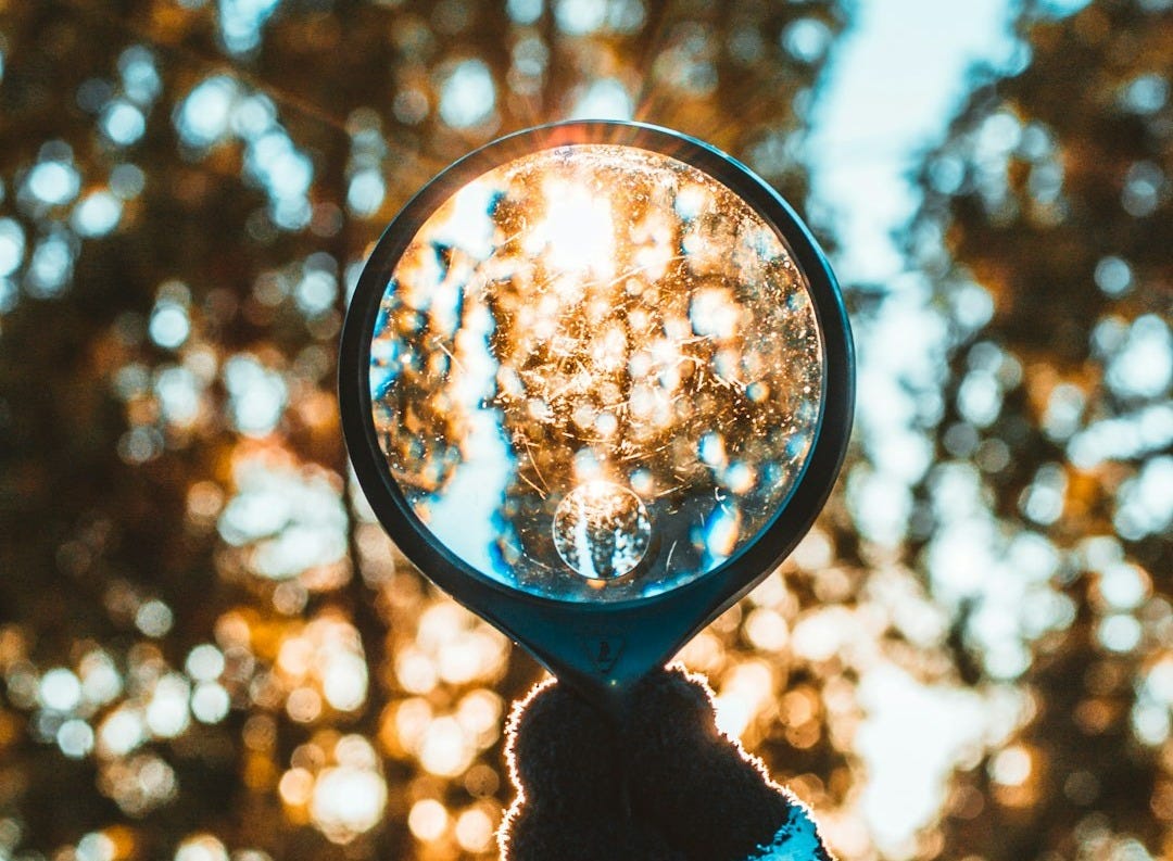 person holding black magnifying glass