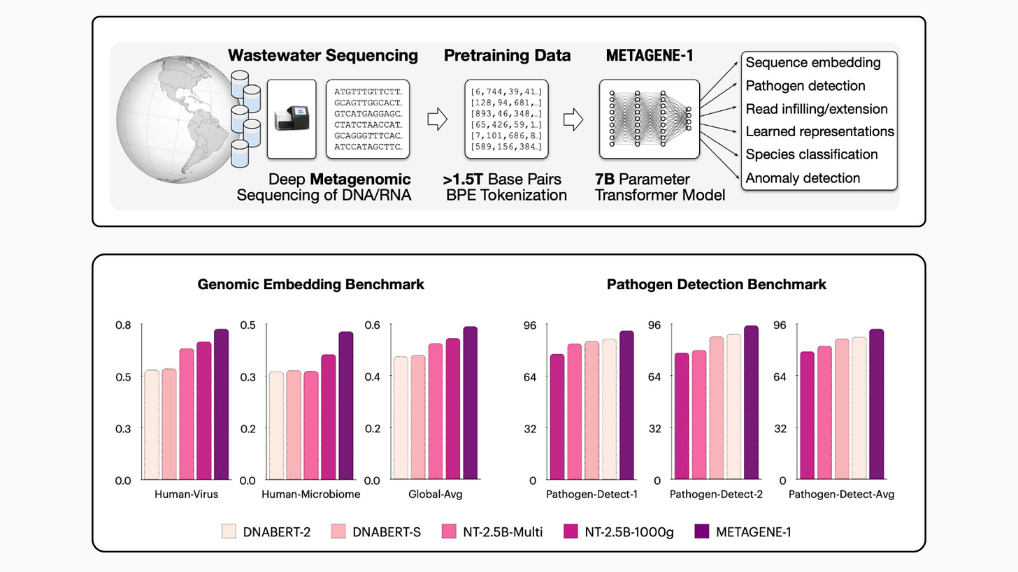 Researchers from USC and Prime Intellect Released METAGENE-1: A 7B  Parameter Autoregressive Transformer Model Trained on Over 1.5T DNA and RNA  Base Pairs - MarkTechPost