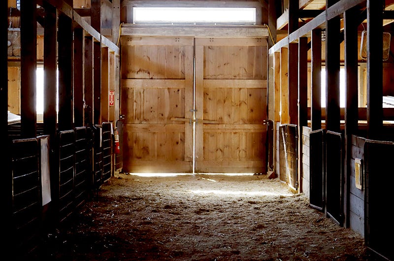 barn doors, Sixburnersue