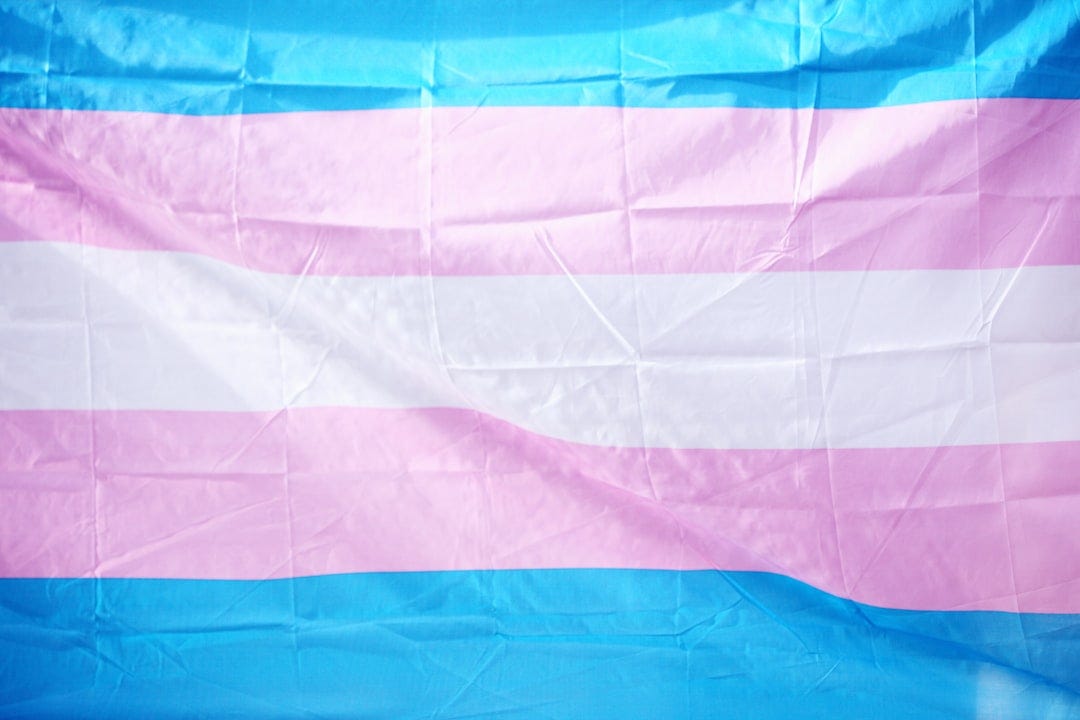 An image of the transgender Pride flag.