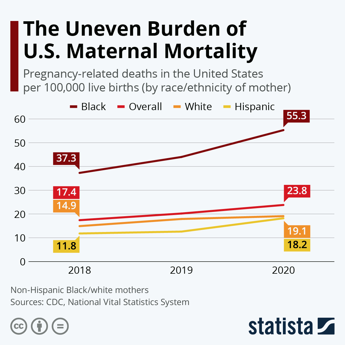 Chart: The Uneven Burden of U.S. Maternal Mortality | Statista