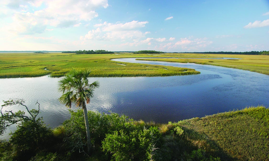 Guana River Wildlife Management Area Trails in Ponte Vedra Beach | VISIT  FLORIDA