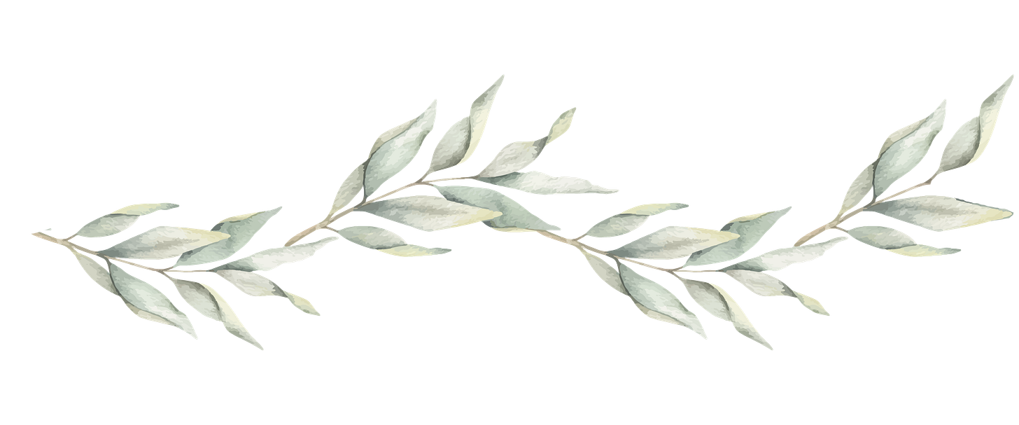 Illustration of a branch full of green leaves