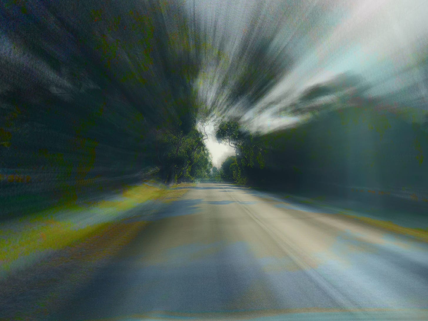 Tree-lined country road: motorcyclist's perspective, blurred by speed.