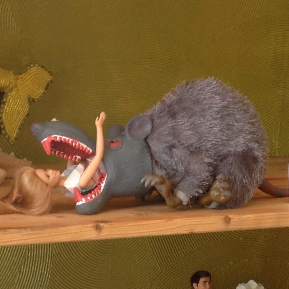 A Barbie whose body is half-consumed by a stuffed toy possum