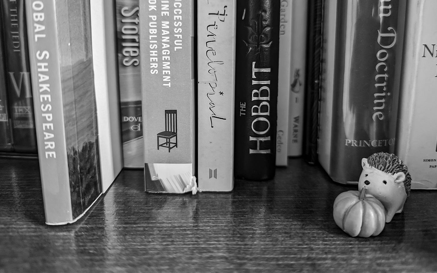 Tiny hedgehog dwells in a forrest of books with his pumpkin