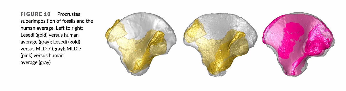 Three ilium comparisons Three ilium comparisons