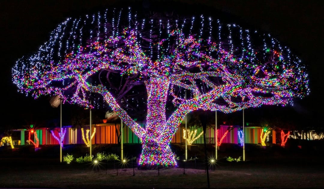 https://unsplash.com/photos/blue-and-red-lighted-christmas-tree-iBOtTmrM3ig