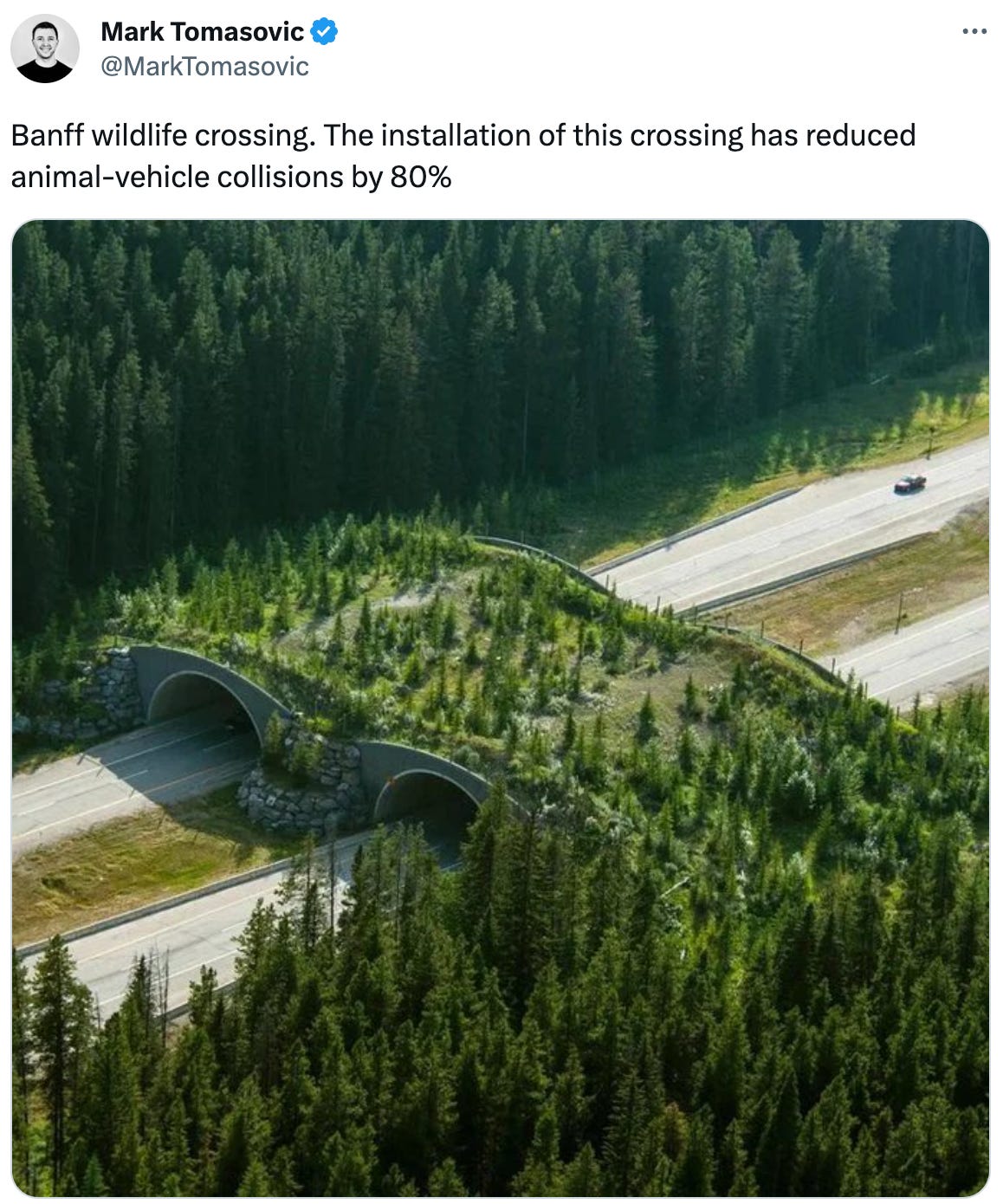  See new Tweets Conversation Mark Tomasovic @MarkTomasovic Banff wildlife crossing. The installation of this crossing has reduced animal-vehicle collisions by 80%