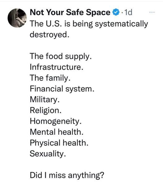 May be an image of text that says 'Not Your Safe Space 1d The U.S. is being systematically destroyed. The food supply. Infrastructure. The family. Financial system. Military. Religion. Homogeneity. Mental health. Physical health. Sexuality. Did I miss anything?'