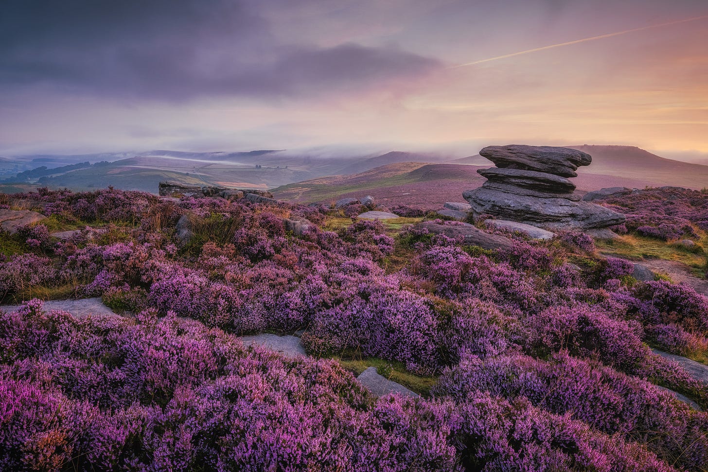 Millstone Edge in the Peak District covered in purple heather and lit by the colours of dawn in the sky above