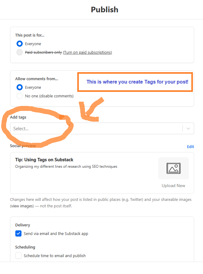 screenshot showing where to add tags before publishing a post