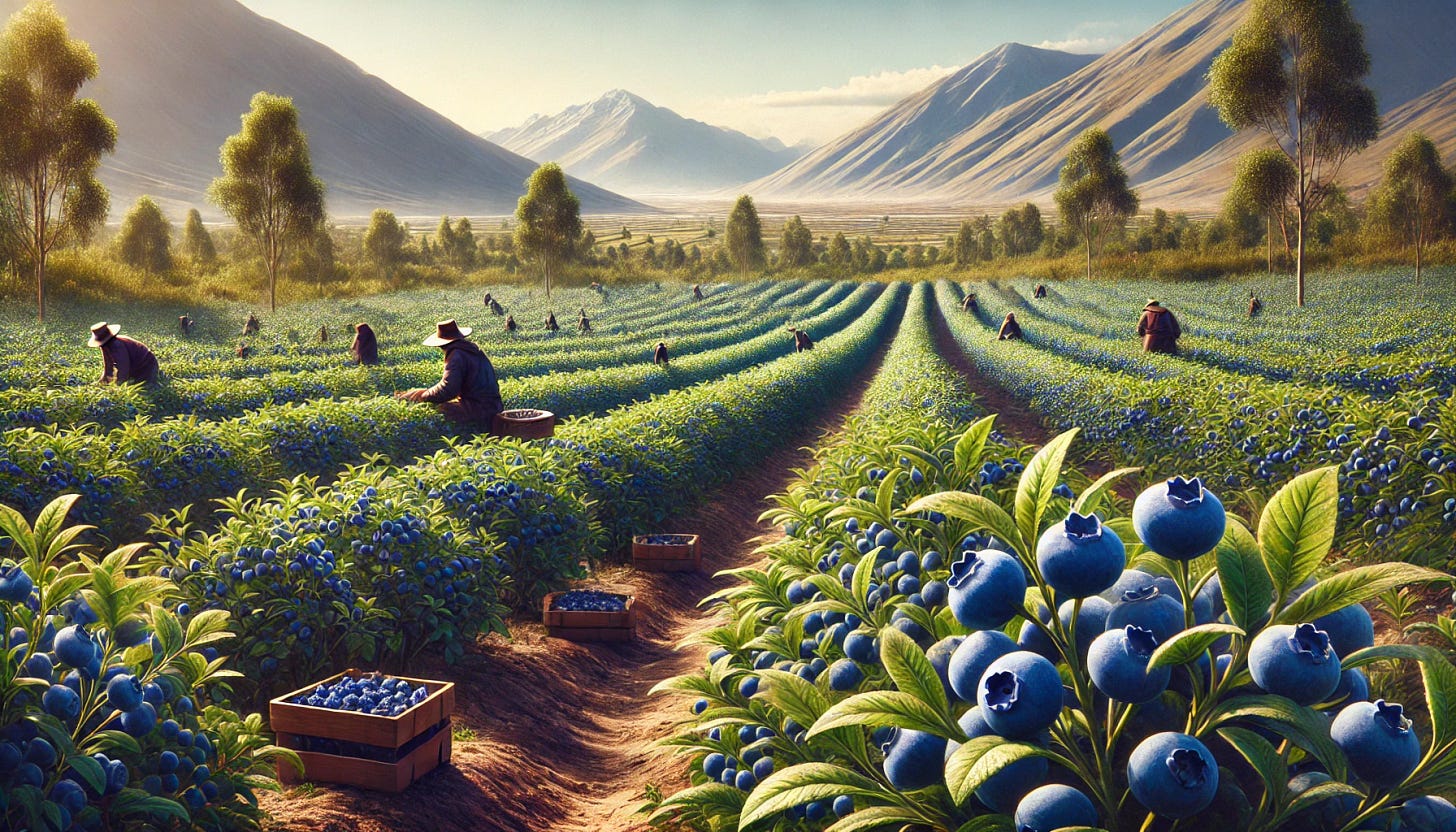 A realistic image of a blueberry plantation in Peru. The scene should feature rows of blueberry bushes laden with ripe, plump blueberries. The plantation is set in a picturesque landscape with the Andes mountains visible in the background. The sky is clear and bright, and the ground is well-tended with rich, dark soil. Some workers can be seen picking the berries, emphasizing the agricultural activity.