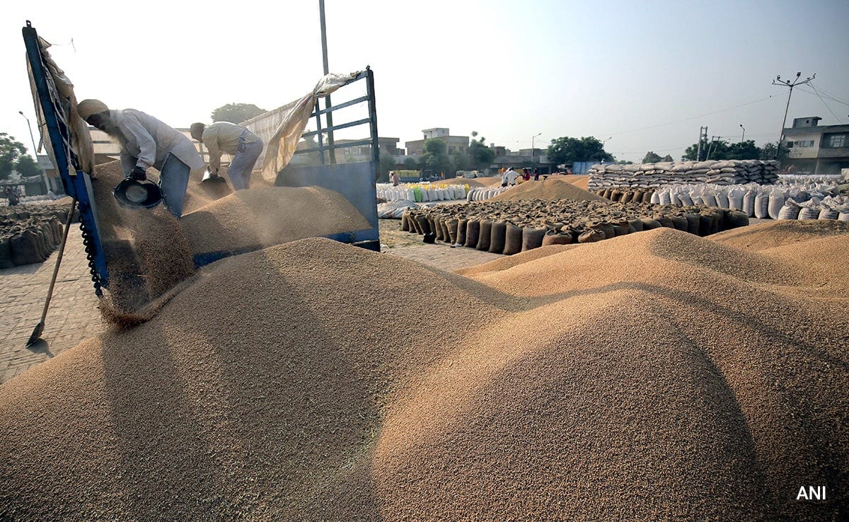 India's Wheat Production Set To Touch New Record In 2022-2023 Crop Year